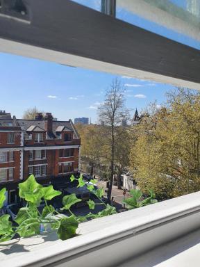 Single room oxford street - Housity