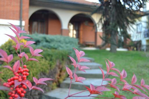 La Filanda B&B - Housity