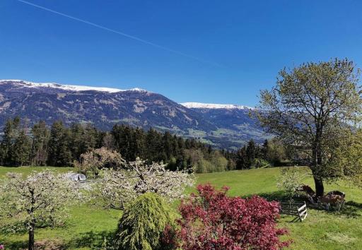 Ferienwohnung Bergblick - Housity