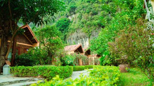 Tam Coc Luxury Homestay - Housity