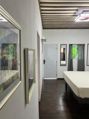 Jamaica Colors Hotel and Eco-Retreat - Housity