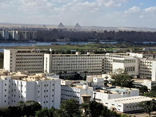 Three bedrooms apartment Nile view maadi - Housity