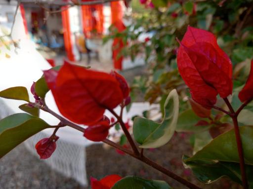 Casa Hotel Villa Marta - Housity