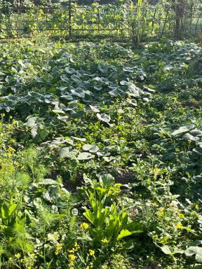 Shanti home - Housity