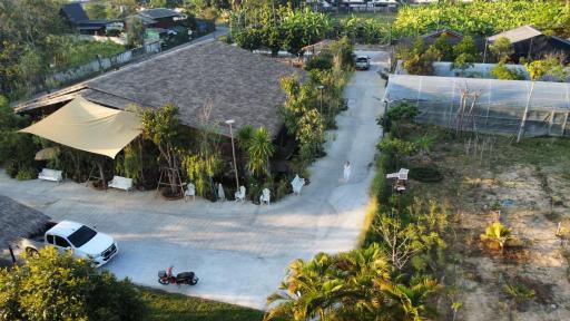 Tasana Garden Saraphi ทาซาน่าการ์เด้น สาขาสารภี - Housity