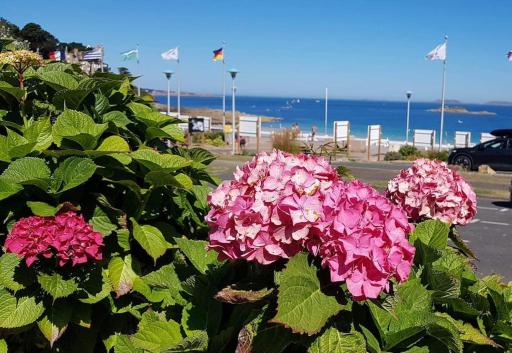 Studio Vue Mer Trestrignel - Housity