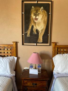 Rancho los olivos Habitaciones Campestres - Housity