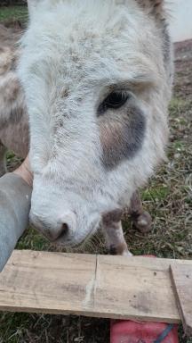 Gîte l'envol - Housity