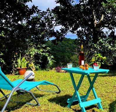 Fleur de Lys - Habitation le Carbet- Gîte en pleine nature à proximité des plages - Housity