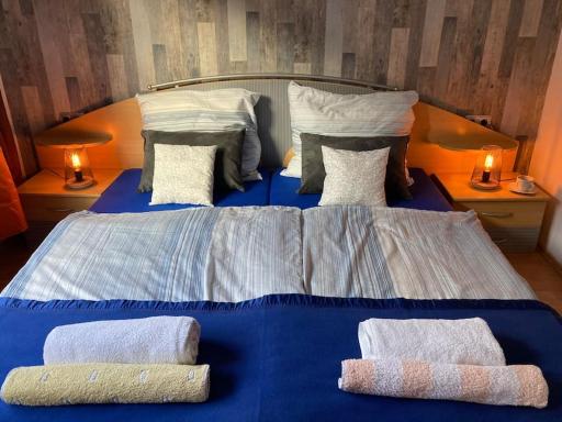 TOLL Apartment am Rhein NETFLIX Internet 1000 Mbits, free parking - Housity
