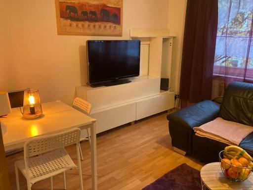 TOLL Apartment am Rhein NETFLIX Internet 1000 Mbits, free parking - Housity
