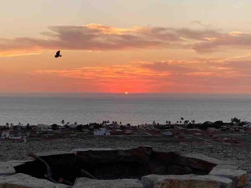 Kalani Heights Cute Little Pool Apartment - Housity