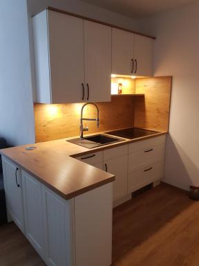 Ferienwohnung in Reichenbach - Housity