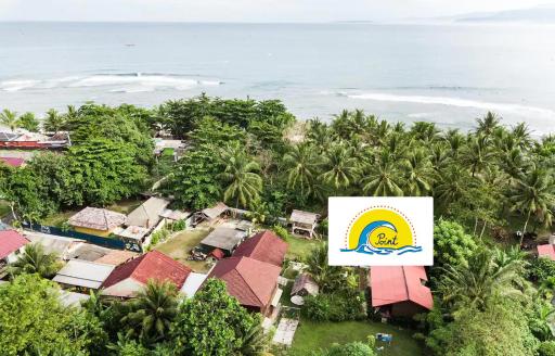 C Point Krui - Housity