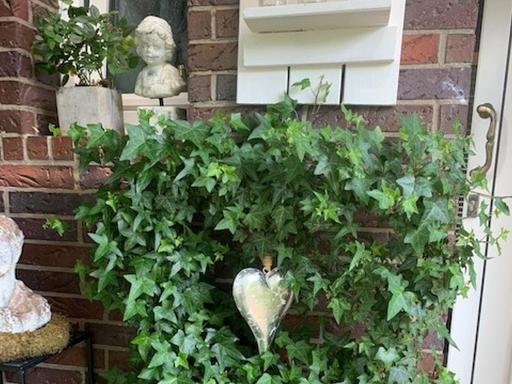 Ferienwohnungen Lemma - Housity