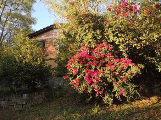 La casa de Buena Vista - Housity