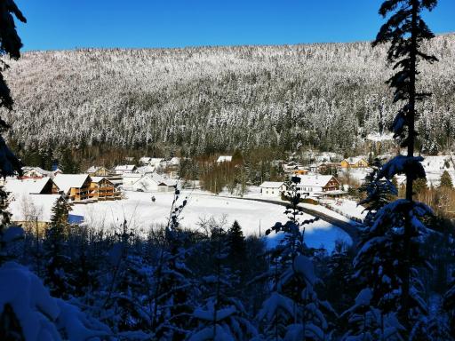 Les fermes du Lac Gerardmer - Housity