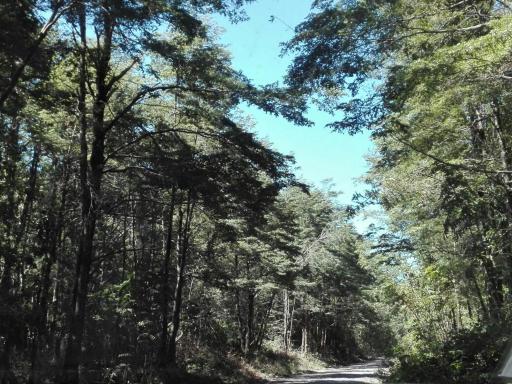 zxtyctvuybiunim - Housity