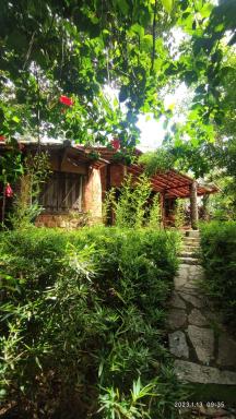 Chalezinho Na Mata Cipó Luxo - Inesquecível (privativo na mata e no centro da serra) - Housity