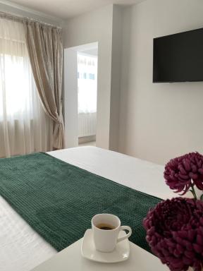 Virginia's Studio - Housity