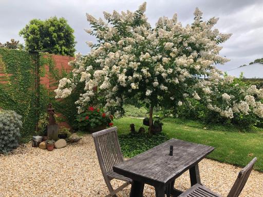 Tranquil, spacious and private garden retreat - Housity