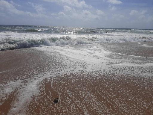 Lovely 2 Room Sea View Condo - Housity