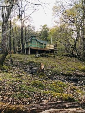 Tree Top Cabin with log burner & private hot tub - Housity