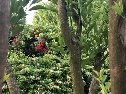 Casa en Atlántida, Barrio Español, Uruguay - Housity