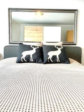 Holiday Apartment Gian - close to the Kongresshaus, the ice hockey stadium, cross-country skiing, the Eau-la-la indoor pool and wellness, large supermarket, 2 bus stops, with an indoor garage and fully equipped - Housity