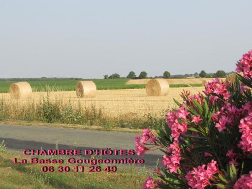 Chambre D'hôtes La Basse Gougeonnière - Housity
