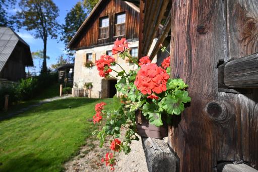 SLO-ETNO HOUSE GOSTECE-Vintage Apartma - Housity