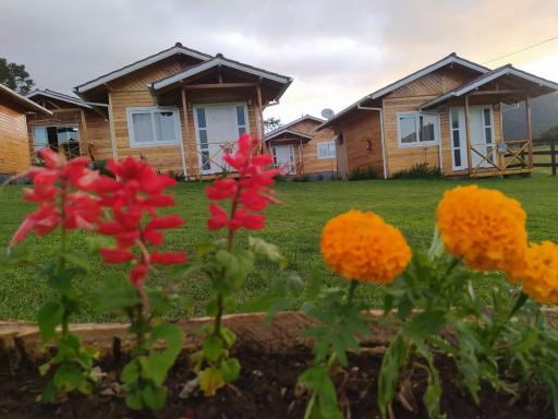 Pousada Flor do Campestre - Housity