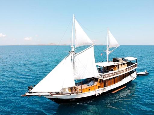 Open trip komodo 3d/2n - Housity