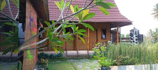 Mysha Guest House-Lombok - Housity
