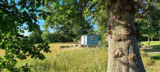 The Lookout Shepherd's Hut - Housity