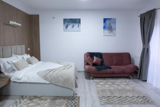Charming Studio in Frasin - Housity