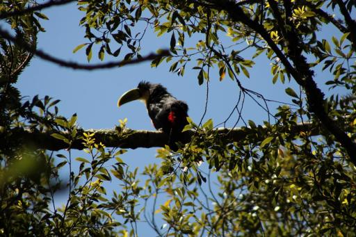 Hospedaria São Bernardo - Housity