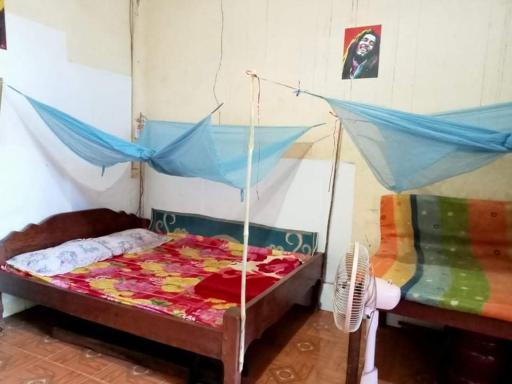 Reggae bar Eco stay & SonaTrekking Tours - Housity