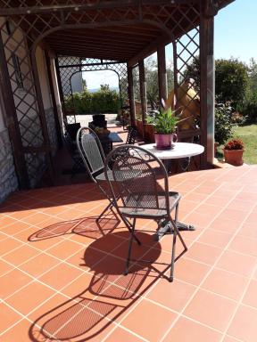 Il Giardino degli Ulivi Castiglione del Lago - Housity