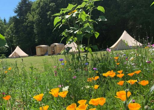 Au Pré Fleuri Eco Glamping - Housity