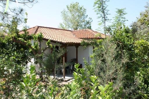 Nikos 5 - Housity