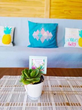 Las Caetanitas - Housity