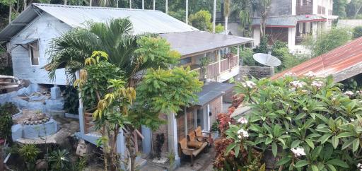 Iboih homestay - Housity