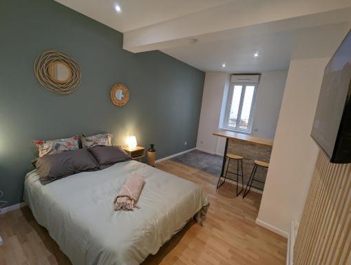 1er Grand Studio Hyper Centre Agen Calme Clim - Housity