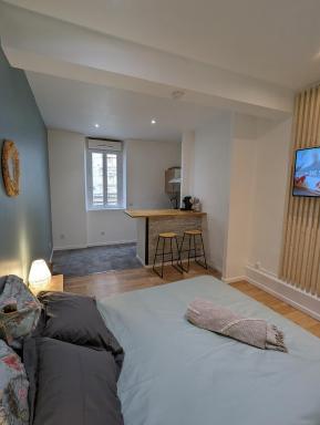 1er Grand Studio Hyper Centre Agen Calme Clim - Housity