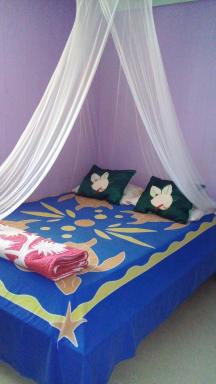 La vie tahitienne - Housity