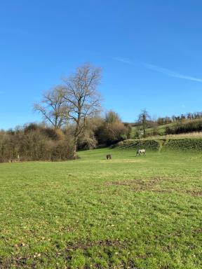 Le Clos des deux chênes - Housity
