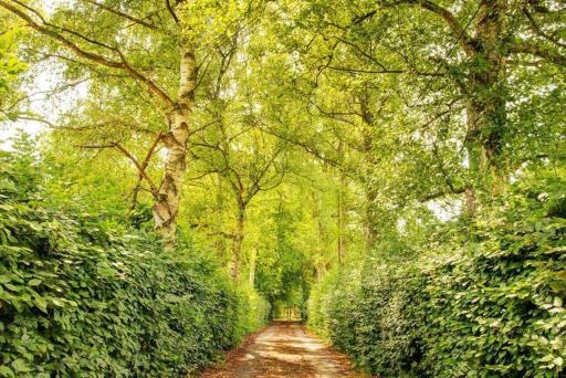 Jagdreich im Westerwald - Housity