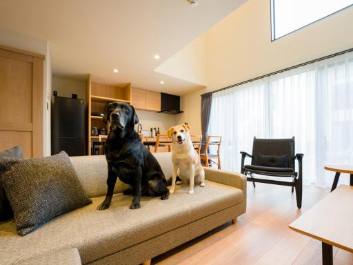 Rakuten STAY VILLA Kamogawa Building D with Terrace and sauna Capacity of 10 persons Pets allowed - Hizvo