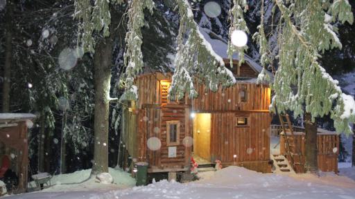 Pinetrees Lodge - Housity
